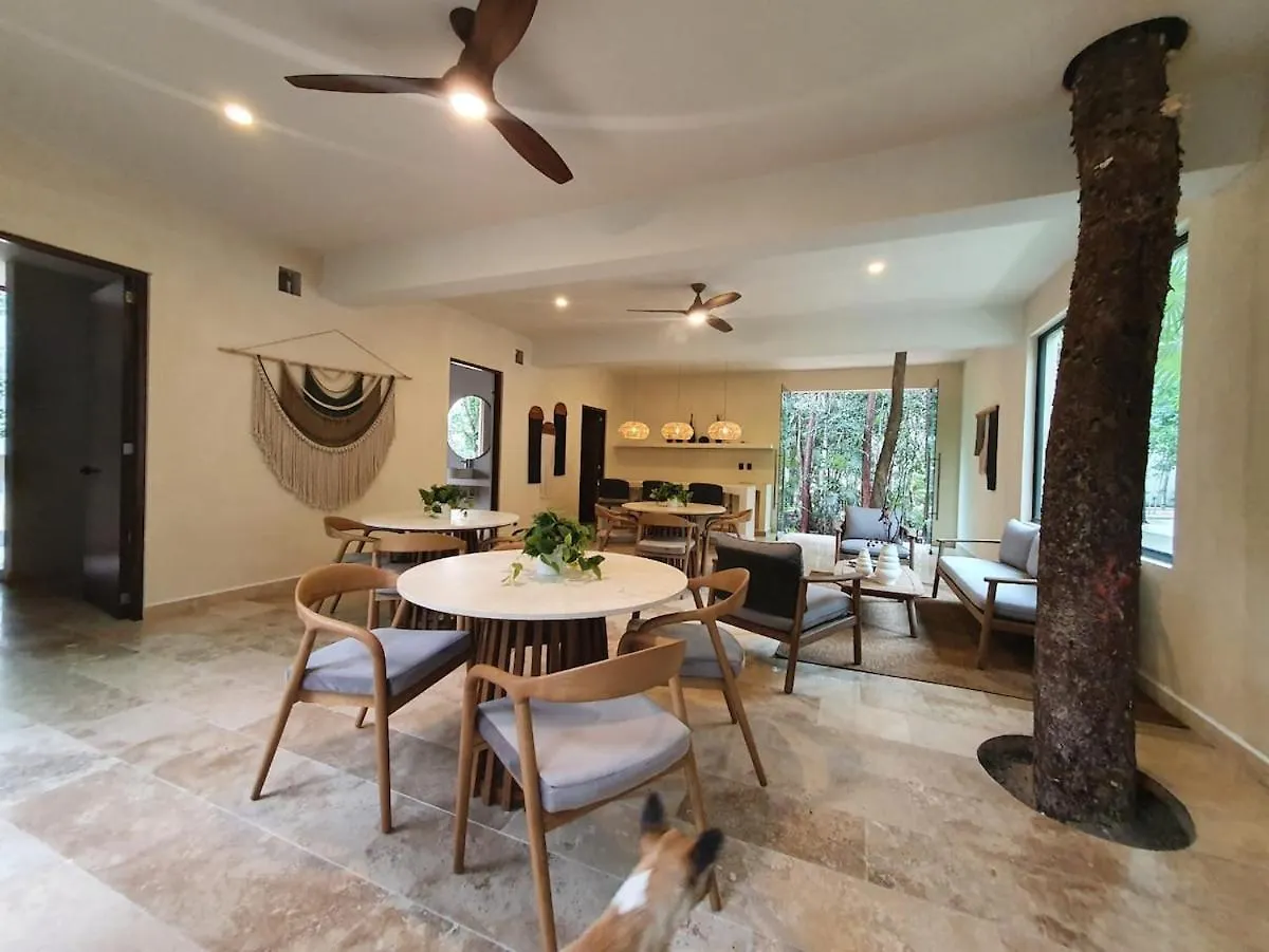 Villa with a private pool Tulum