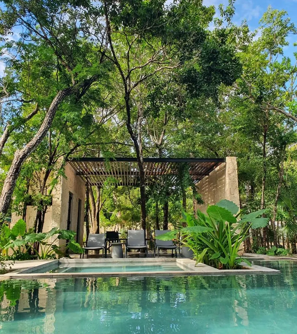 Villa with a private pool Tulum Mexico