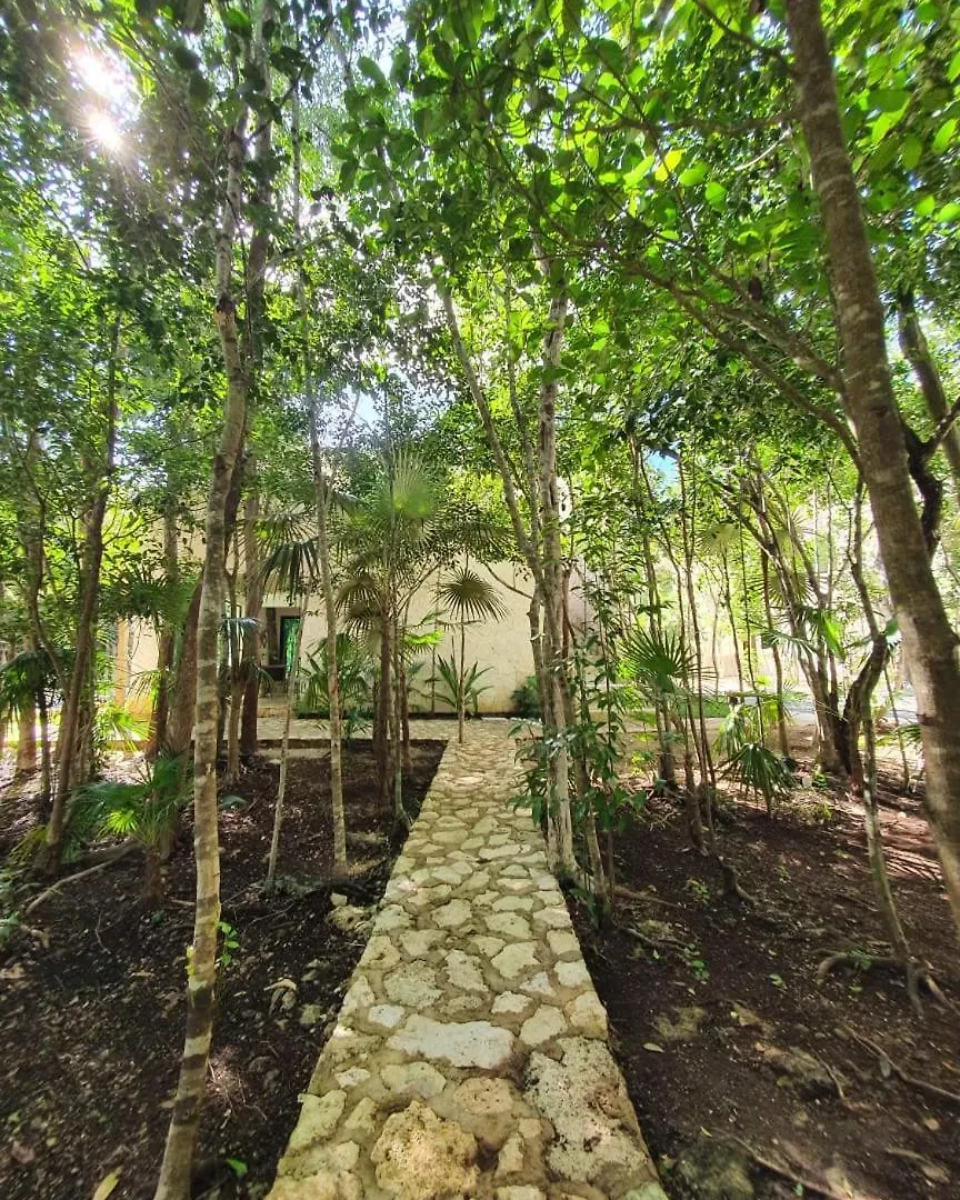 Villa with a private pool Tulum 0*,  Mexico