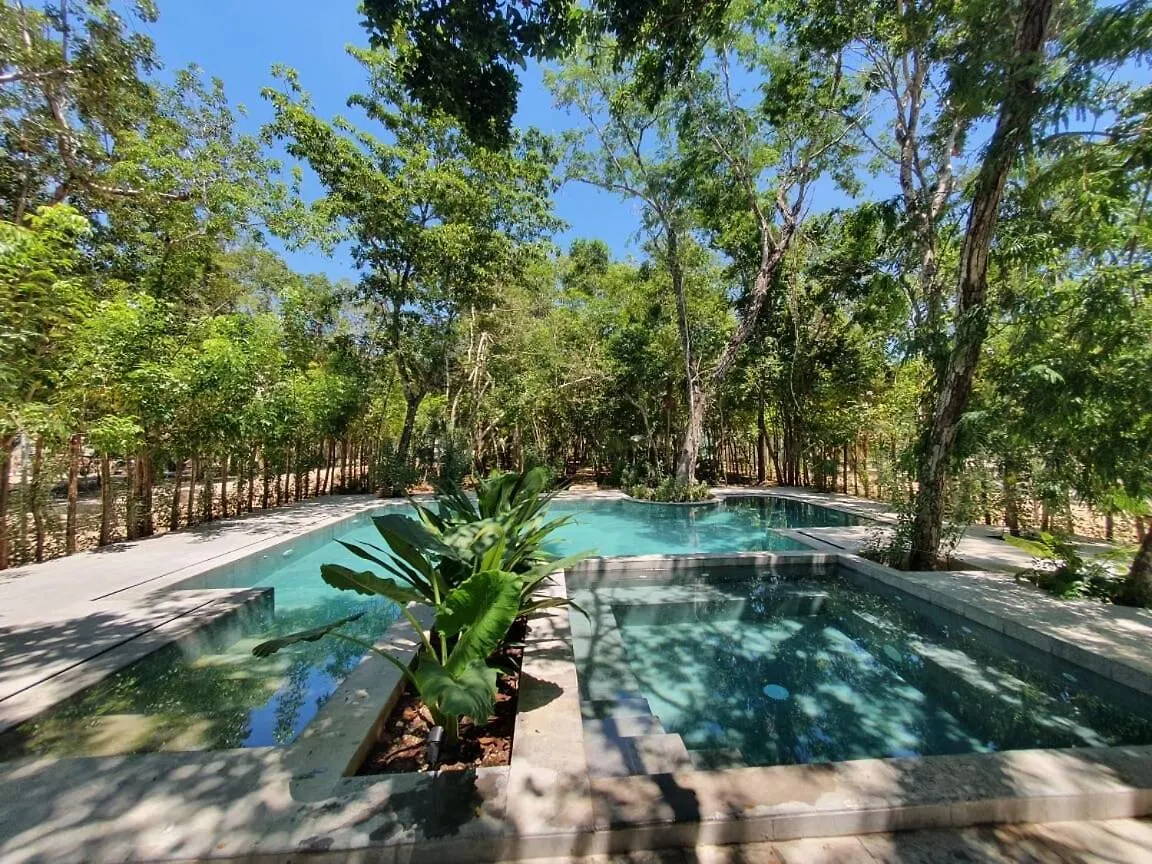 Villa with a private pool Tulum